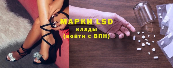 ECSTASY Алзамай