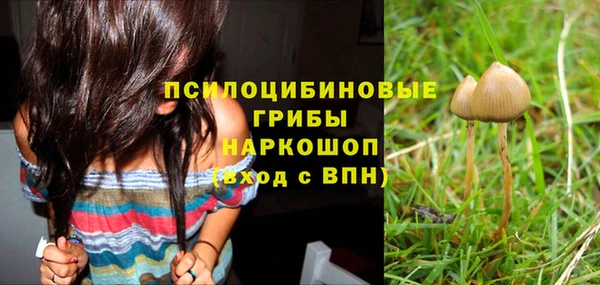 мескалин Абинск