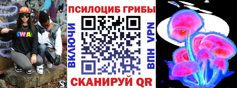 дарнет шоп  Новотитаровская  Псилоцибиновые грибы мицелий 